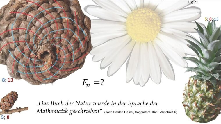 "Das Buch der Natur..."
