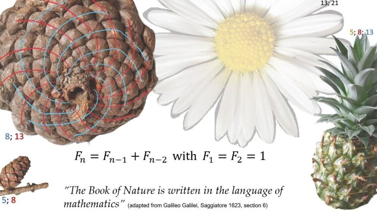 "The book of nature..."
